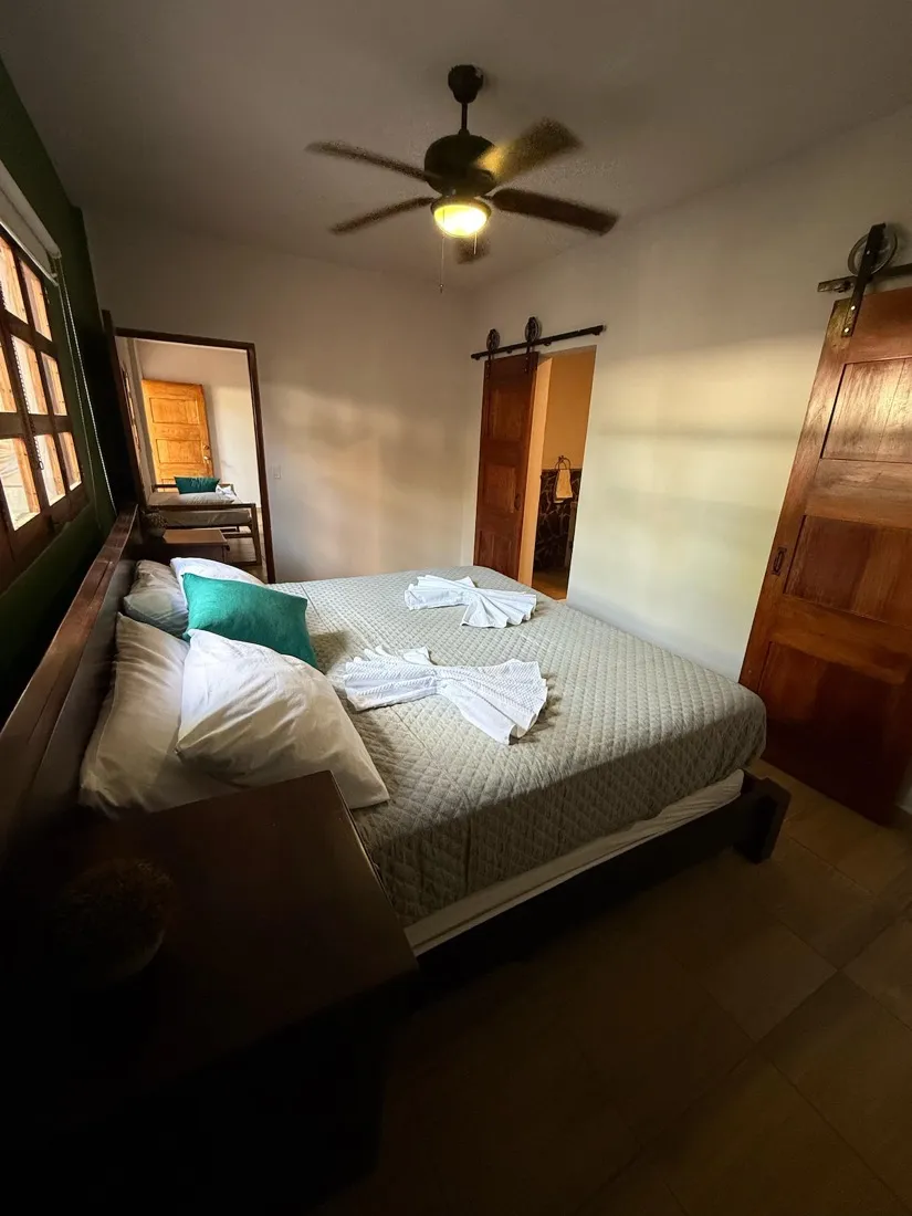 Junior Suite — king bed with a green accent wall and ceiling fan